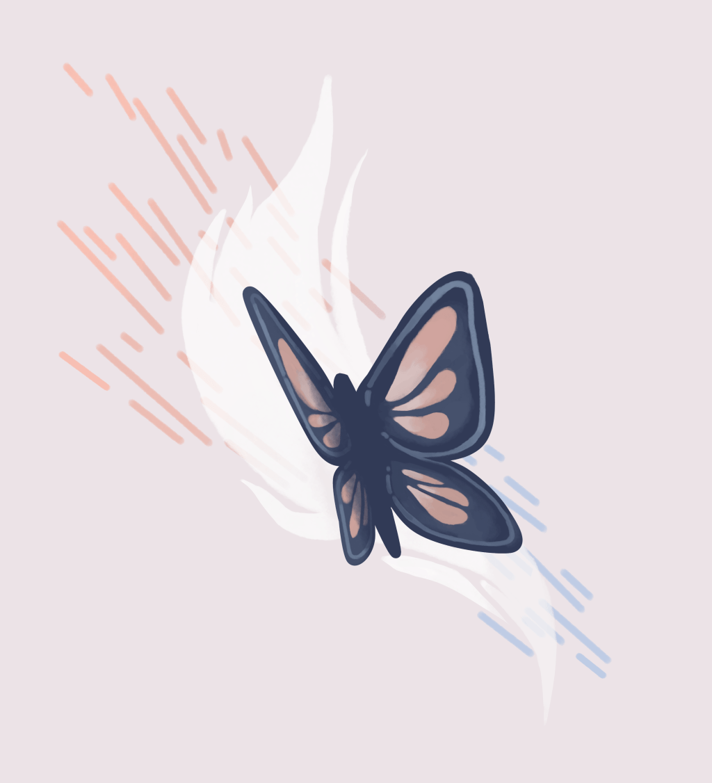 What Butterfly Politics Can Teach Us About Fighting for Gender&nbsp;Equity