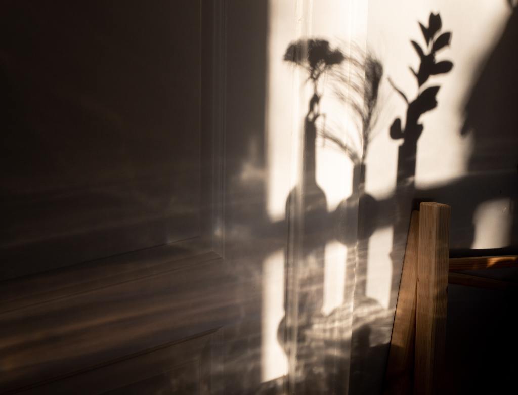 An Introduction to Shadow Work